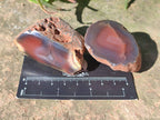 Polished On One Side Red Sashe River Agate Nodules x 20 From Zimbabwe - Toprock Gemstones and Minerals 