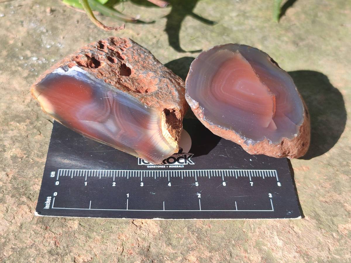 Polished On One Side Red Sashe River Agate Nodules x 20 From Zimbabwe - Toprock Gemstones and Minerals 