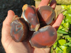 Polished On One Side Red Sashe River Agate Nodules x 20 From Zimbabwe - Toprock Gemstones and Minerals 