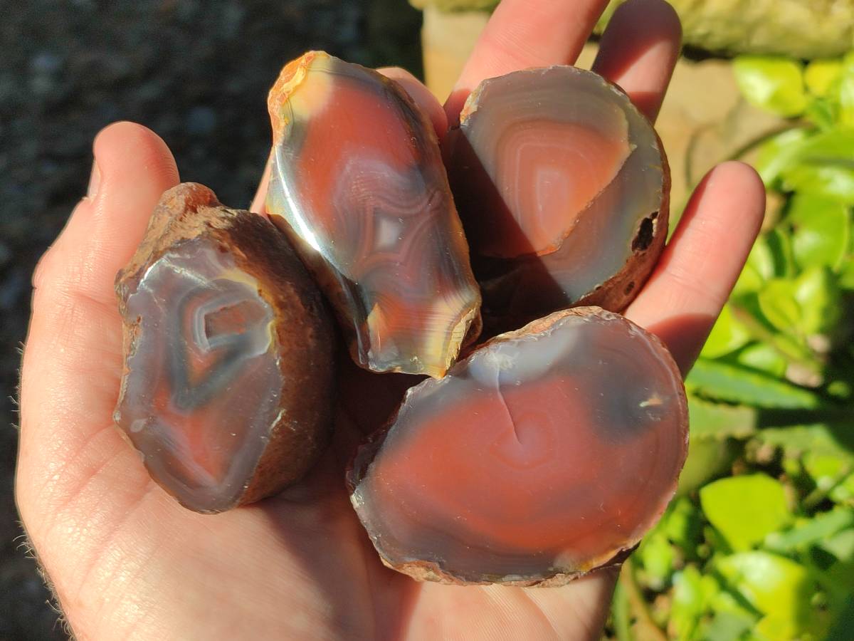 Polished On One Side Red Sashe River Agate Nodules x 20 From Zimbabwe - Toprock Gemstones and Minerals 