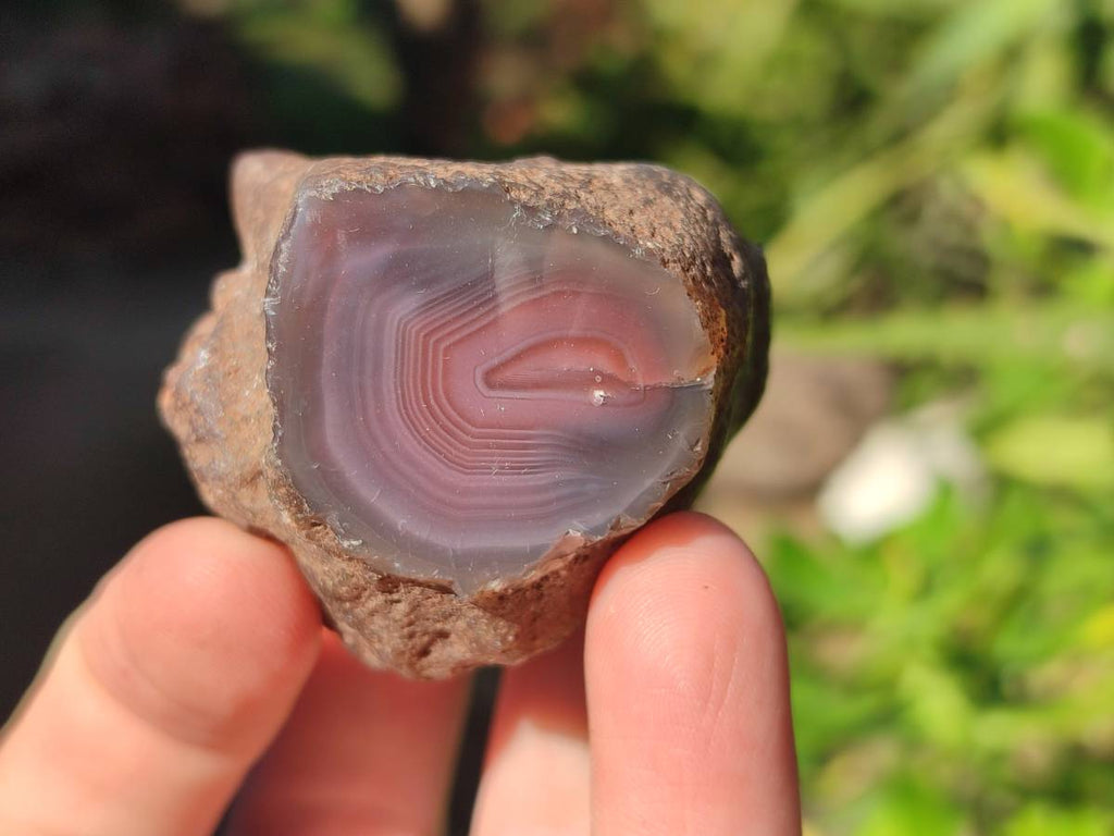 Polished On One Side Red Sashe River Agate Nodules x 20 From Zimbabwe - Toprock Gemstones and Minerals 