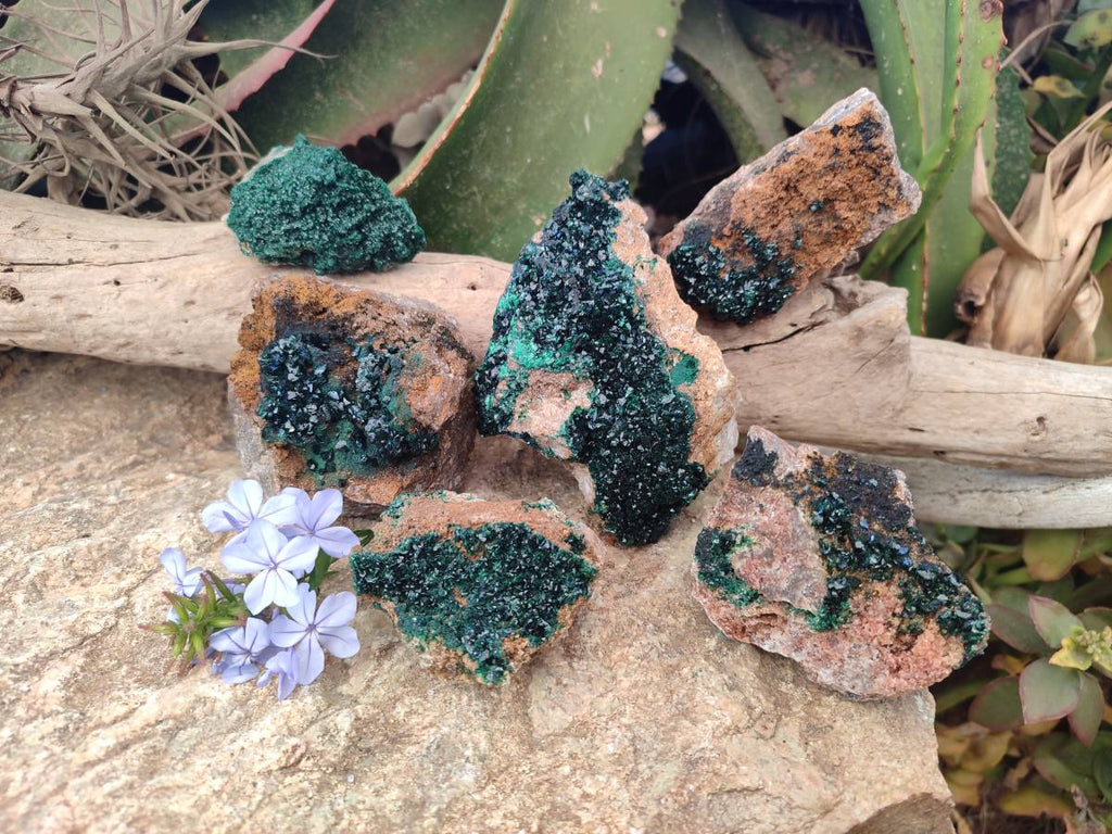 Natural Crystalline Malachite Specimens x 6 From Tenke Fungurume, Congo - Toprock Gemstones and Minerals 