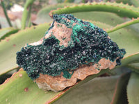 Natural Crystalline Malachite Specimens x 6 From Tenke Fungurume, Congo