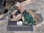 Natural Crystalline Malachite Specimens x 6 From Tenke Fungurume, Congo - Toprock Gemstones and Minerals 