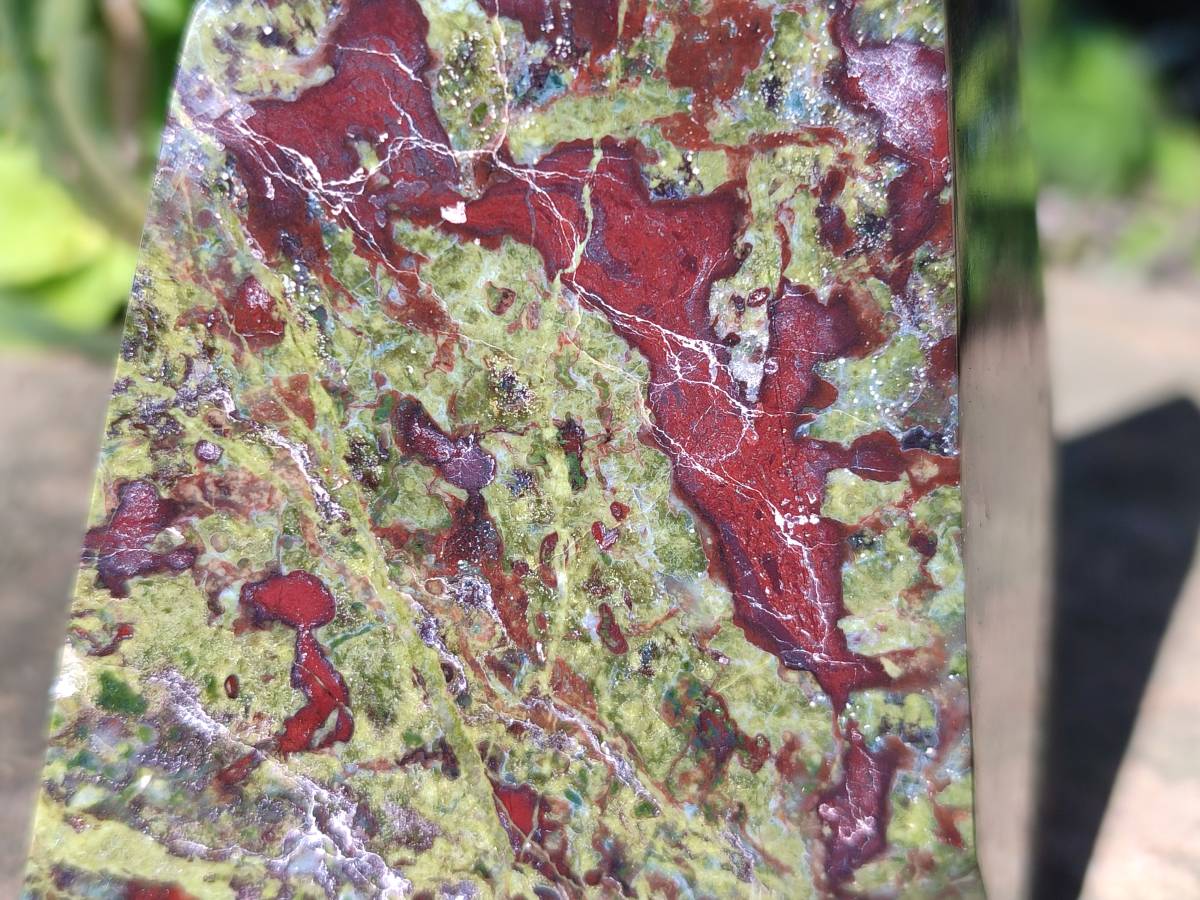 Polished Bastite Dragons Blood Stone Points x 2 From Tshipise, South Africa - Toprock Gemstones and Minerals 