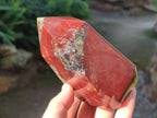 Polished Bastite Dragons Blood Stone Points x 2 From Tshipise, South Africa - Toprock Gemstones and Minerals 