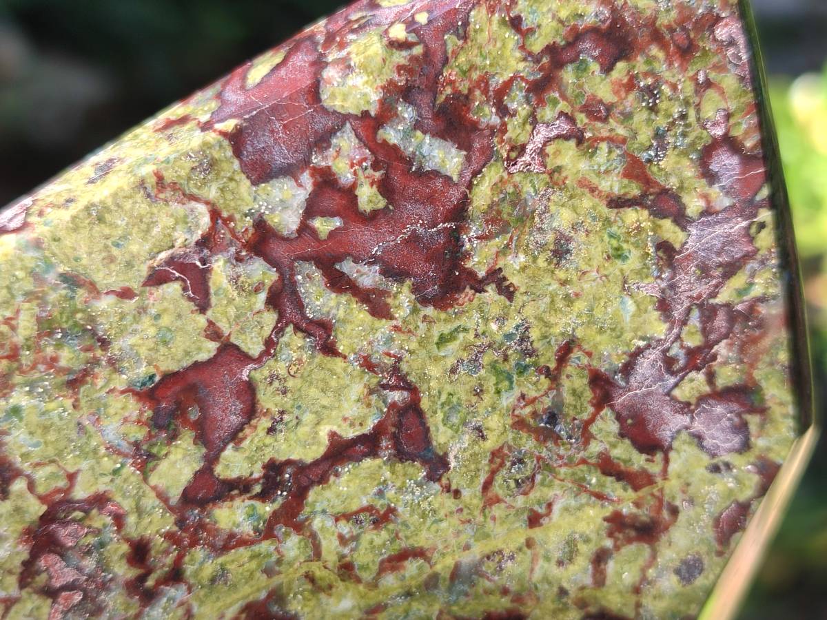 Polished Bastite Dragons Blood Stone Points x 2 From Tshipise, South Africa - Toprock Gemstones and Minerals 