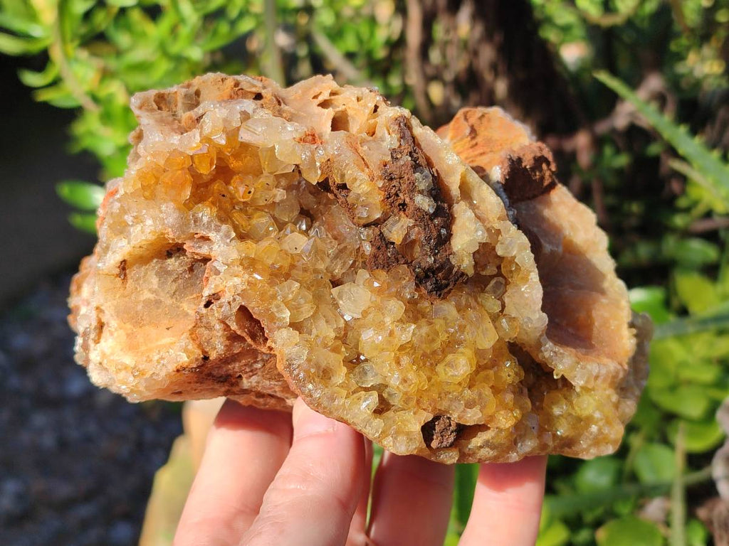 Natural Golden Limonite Quartz Geode Specimens x 3 From Solwezi, Zambia - Toprock Gemstones and Minerals 