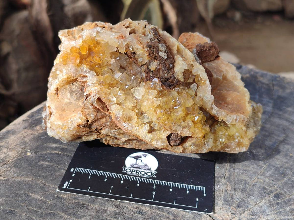 Natural Golden Limonite Quartz Geode Specimens x 3 From Solwezi, Zambia - Toprock Gemstones and Minerals 