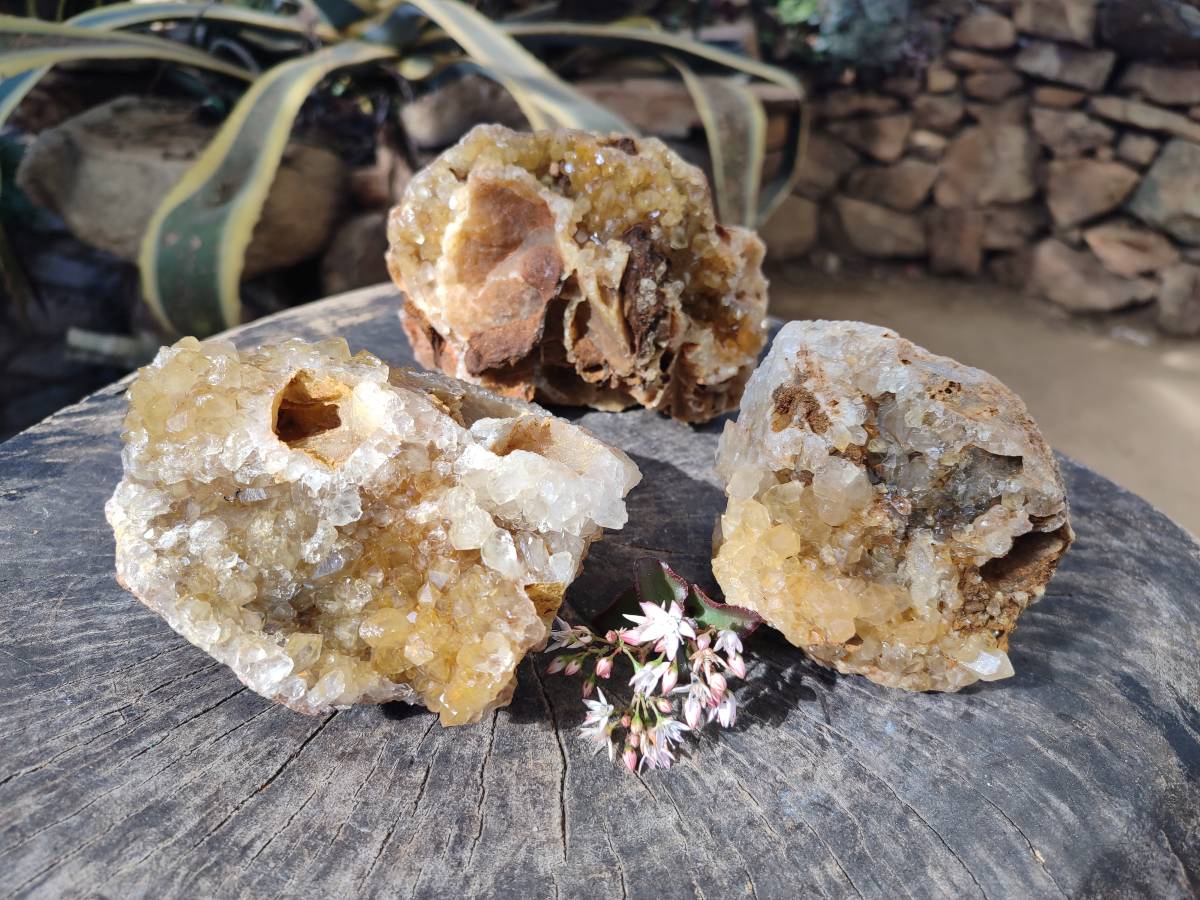 Natural Golden Limonite Quartz Geode Specimens x 3 From Solwezi, Zambia - Toprock Gemstones and Minerals 