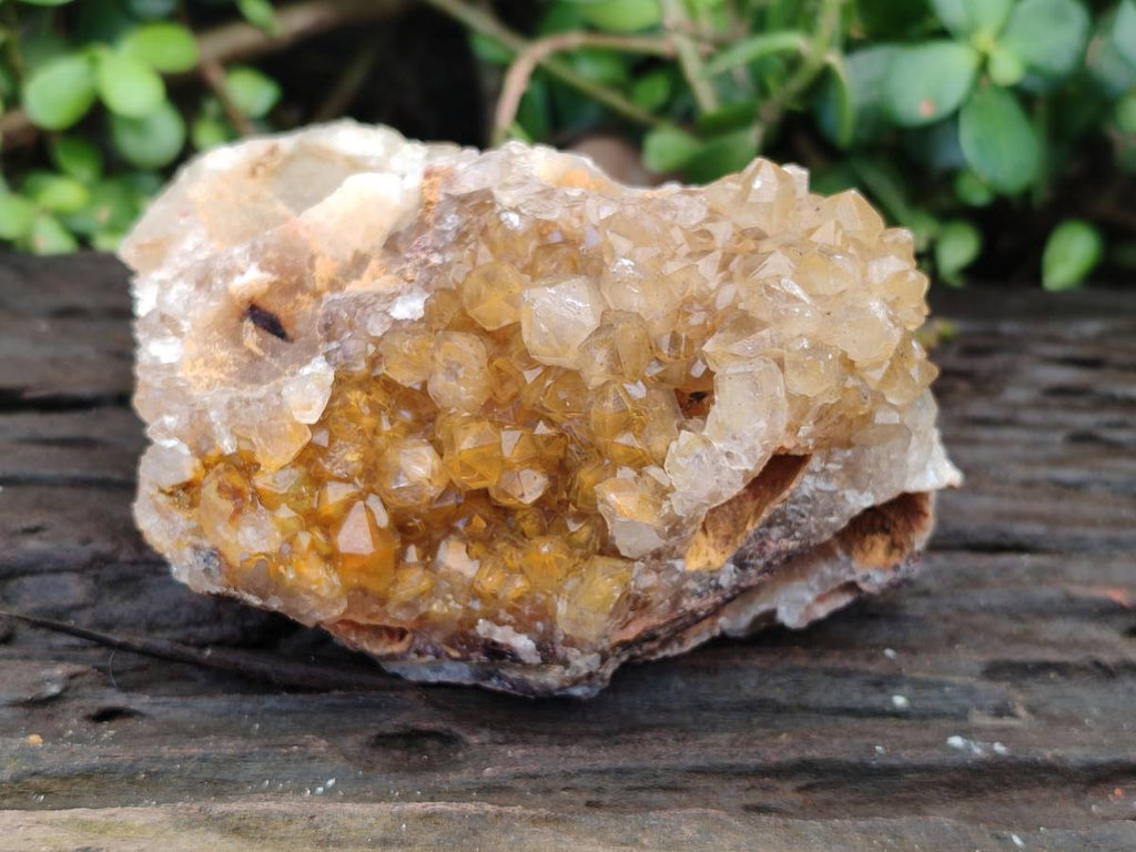 Natural Golden Limonite Quartz Geode Specimens x 3 From Solwezi, Zambia - Toprock Gemstones and Minerals 