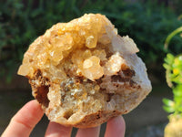 Natural Golden Limonite Quartz Geode Specimens x 3 From Solwezi, Zambia - Toprock Gemstones and Minerals 