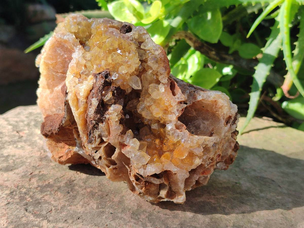Natural Golden Limonite Quartz Geode Specimens x 3 From Solwezi, Zambia - Toprock Gemstones and Minerals 