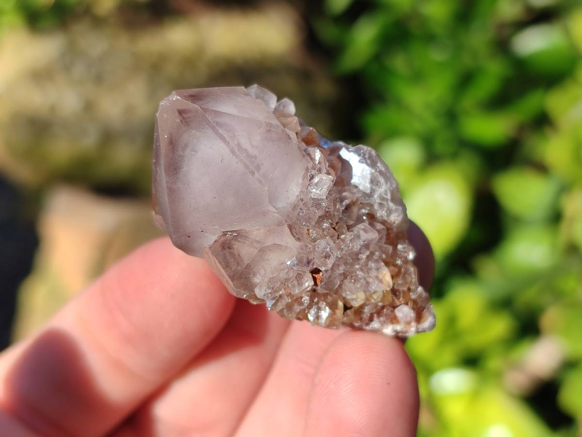 Natural Amethyst Spirit Quartz Clusters x 35 From Boekenhouthoek, South Africa - Toprock Gemstones and Minerals 