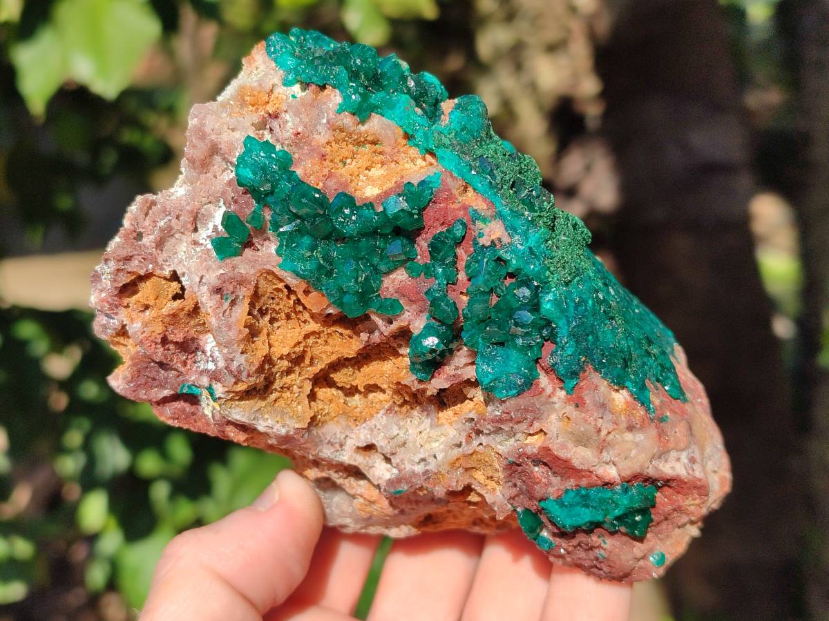 Natural Dioptase Crystals with Malachite on Dolomite Matrix Specimens x 2 From Likasi, Congo - Toprock Gemstones and Minerals 
