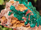 Natural Dioptase Crystals with Malachite on Dolomite Matrix Specimens x 2 From Likasi, Congo - Toprock Gemstones and Minerals 