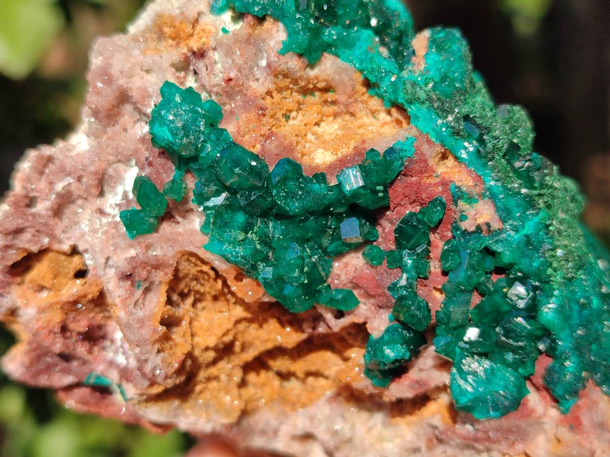 Natural Dioptase Crystals with Malachite on Dolomite Matrix Specimens x 2 From Likasi, Congo - Toprock Gemstones and Minerals 