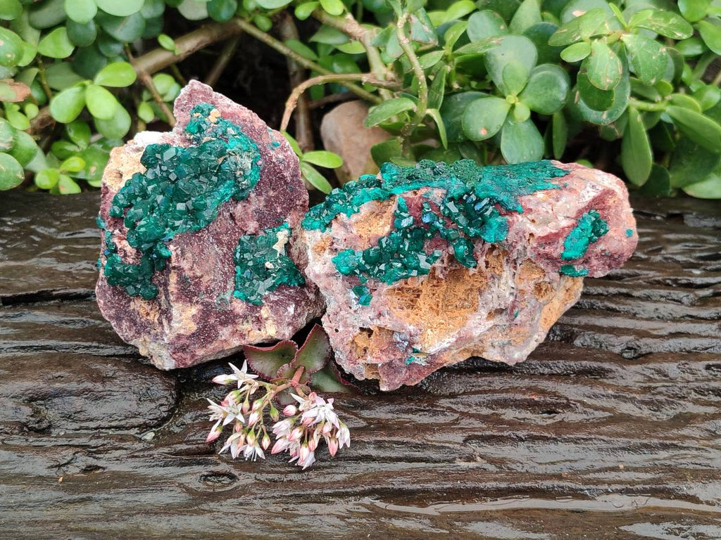 Natural Dioptase Crystals with Malachite on Dolomite Matrix Specimens x 2 From Likasi, Congo - Toprock Gemstones and Minerals 