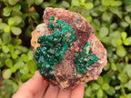 Natural Dioptase Crystals with Malachite on Dolomite Matrix Specimens x 2 From Likasi, Congo - Toprock Gemstones and Minerals 