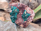 Natural Dioptase Crystals with Malachite on Dolomite Matrix Specimens x 2 From Likasi, Congo - Toprock Gemstones and Minerals 