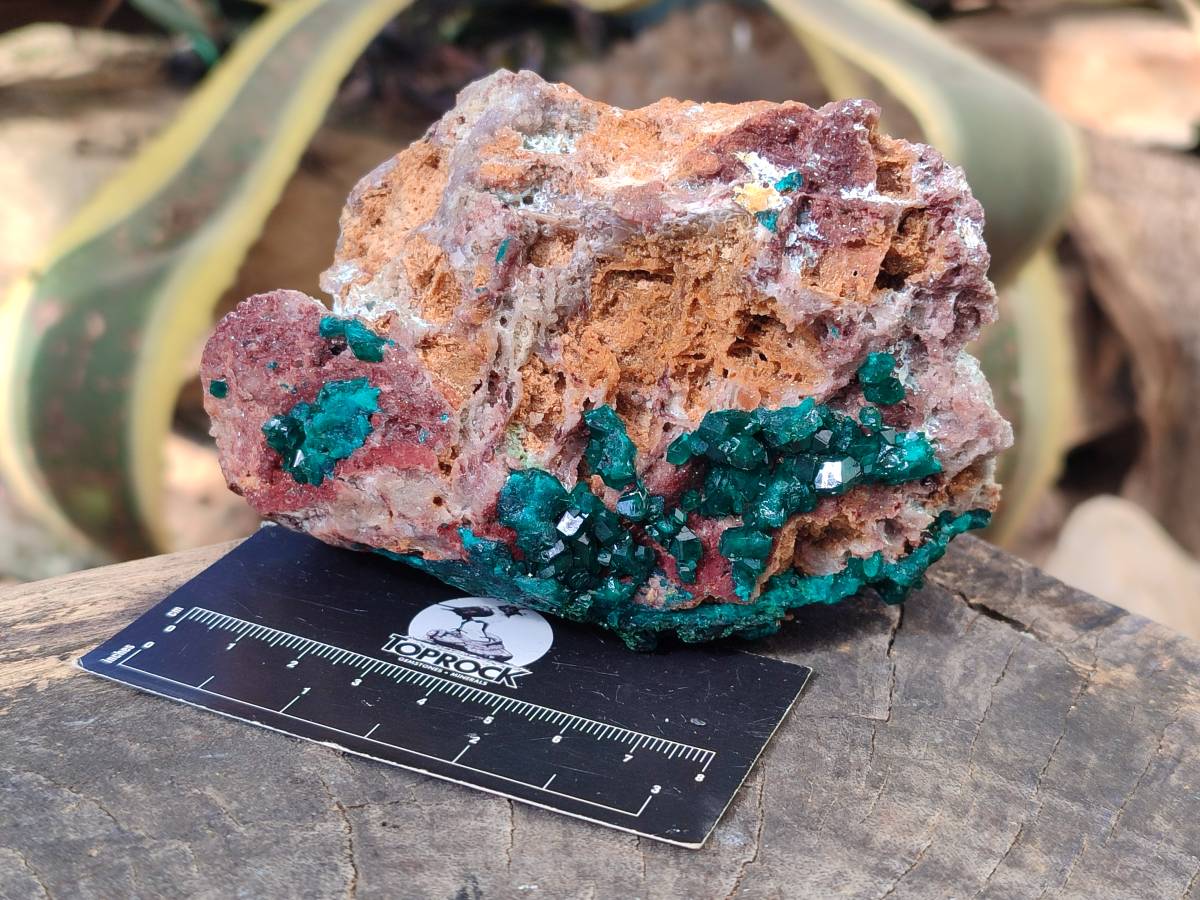 Natural Dioptase Crystals with Malachite on Dolomite Matrix Specimens x 2 From Likasi, Congo - Toprock Gemstones and Minerals 