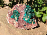 Natural Dioptase Crystals with Malachite on Dolomite Matrix Specimens x 2 From Likasi, Congo - Toprock Gemstones and Minerals 
