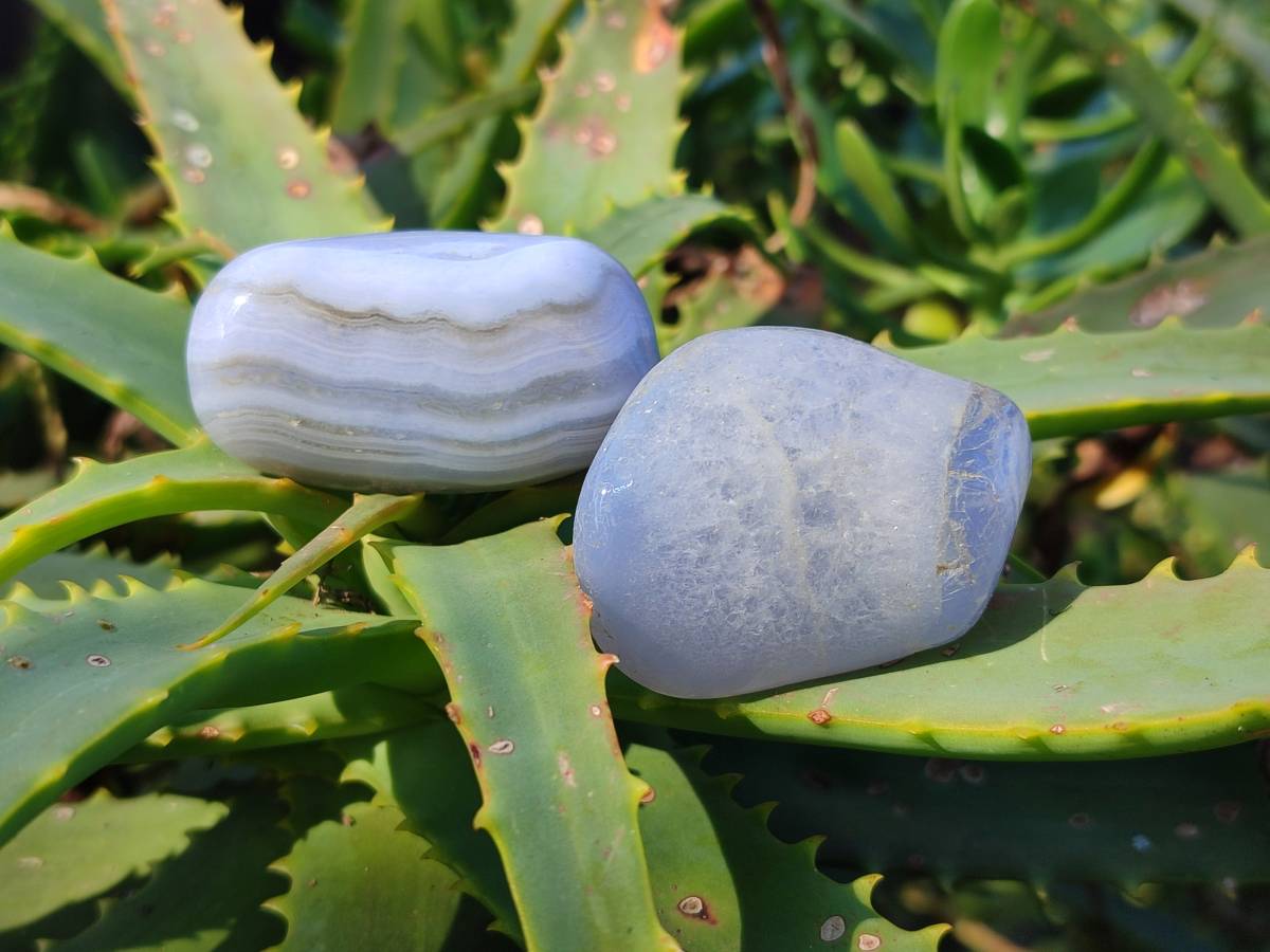 Polished Blue Lace Agate Tumbled Stones x 1.8 Kg Lot From Malawi - Toprock Gemstones and Minerals 