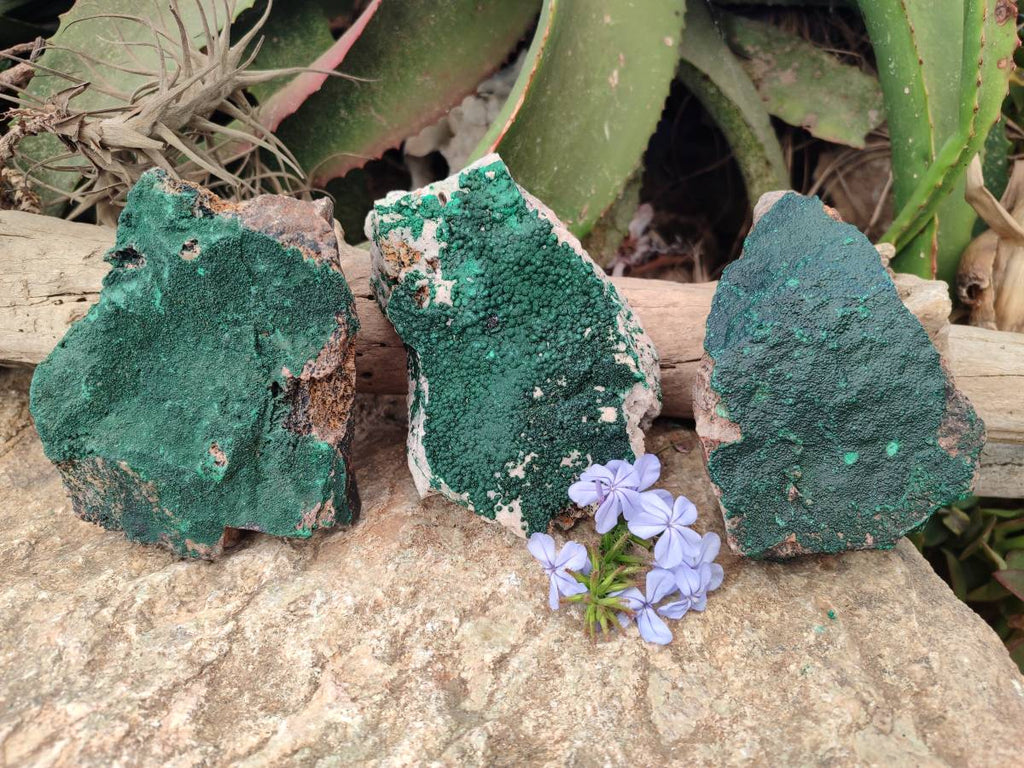 Natural Crystalline Malachite Specimens x 3 From Tenke Fungurume, Congo - Toprock Gemstones and Minerals 