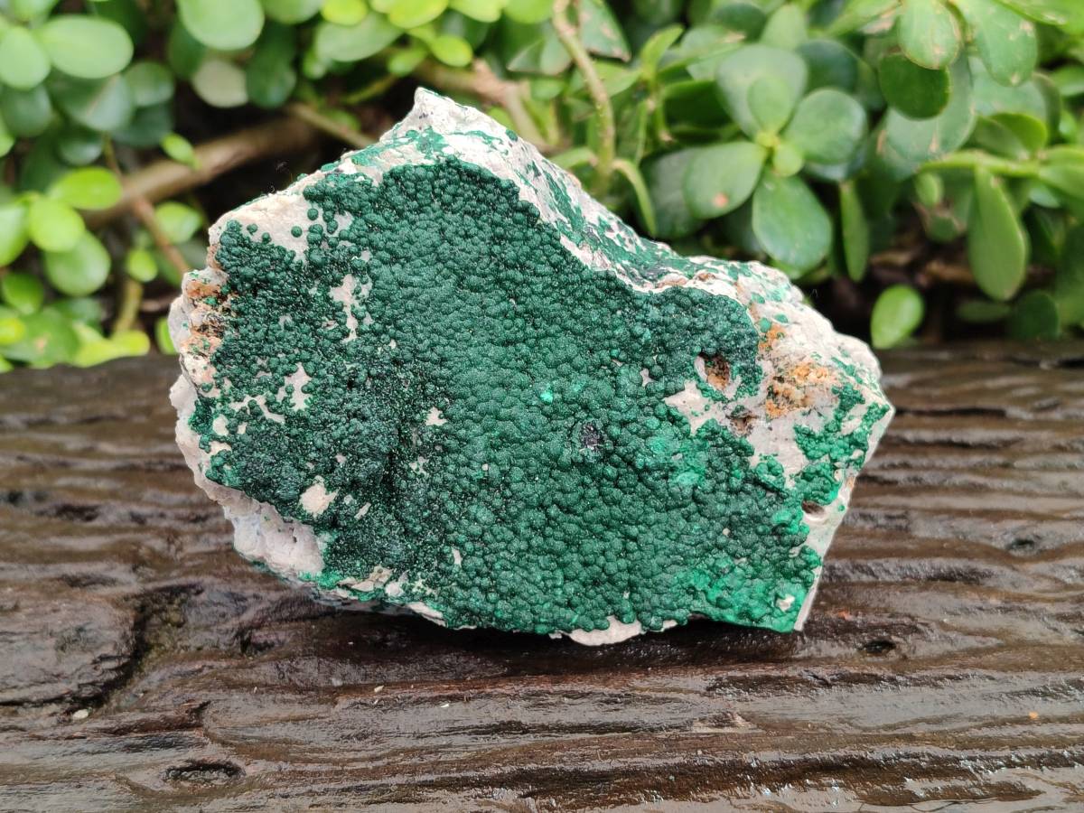 Natural Crystalline Malachite Specimens x 3 From Tenke Fungurume, Congo - Toprock Gemstones and Minerals 