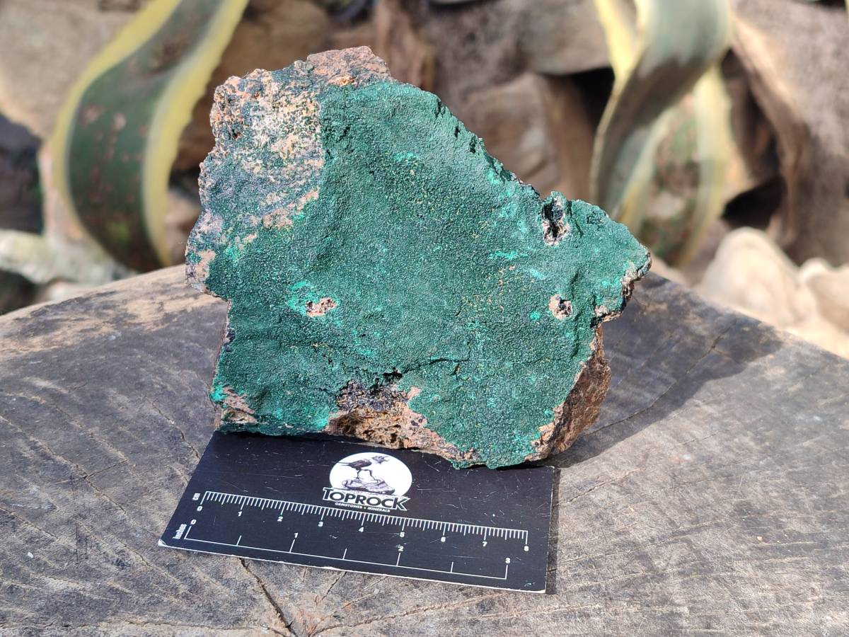 Natural Crystalline Malachite Specimens x 3 From Tenke Fungurume, Congo - Toprock Gemstones and Minerals 