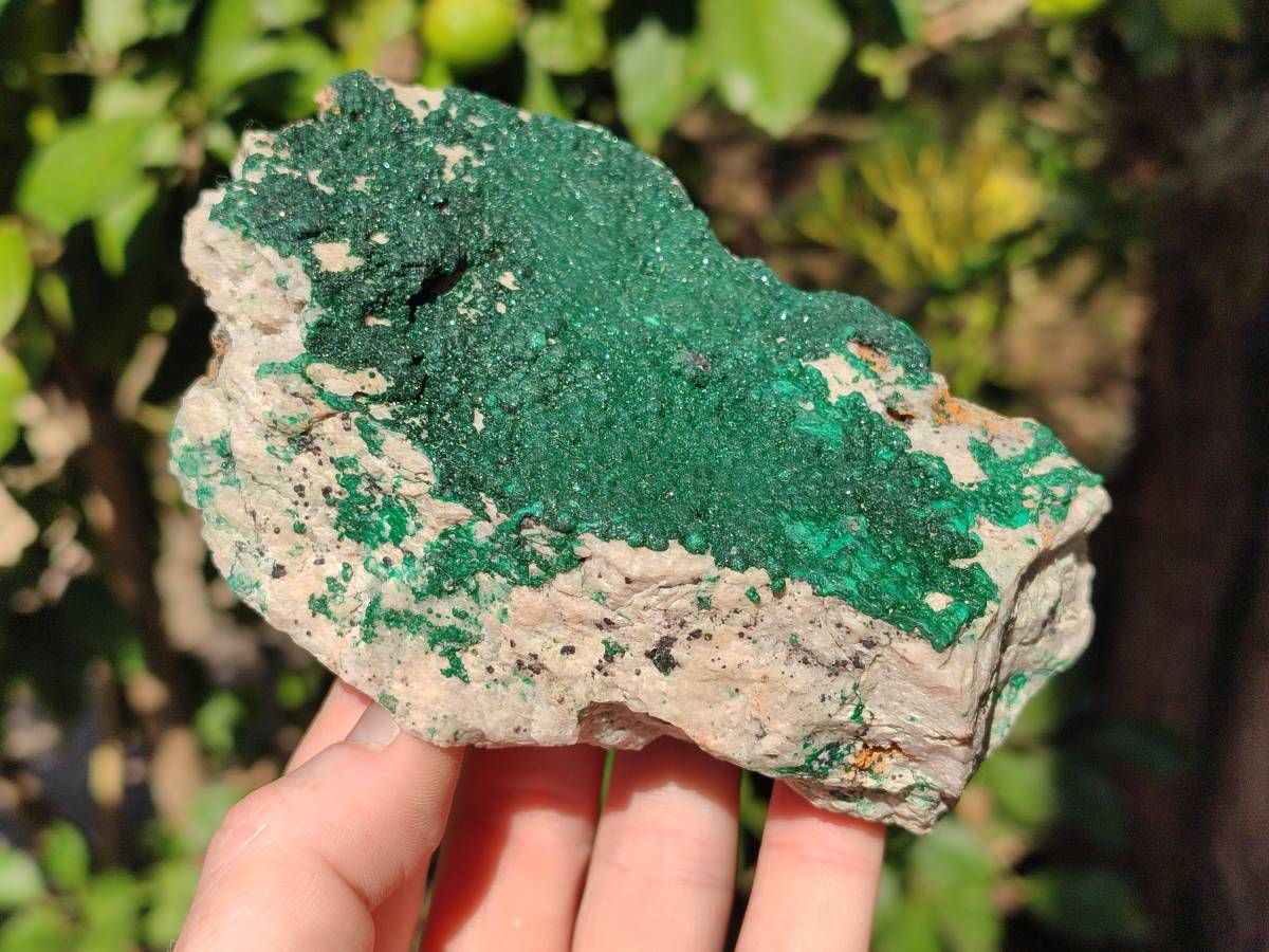 Natural Crystalline Malachite Specimens x 3 From Tenke Fungurume, Congo - Toprock Gemstones and Minerals 
