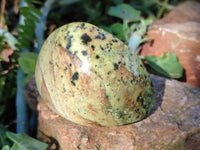 Polished Leopard Stone Free Forms x 5 From Nyanga, Zimbabwe - Toprock Gemstones and Minerals 