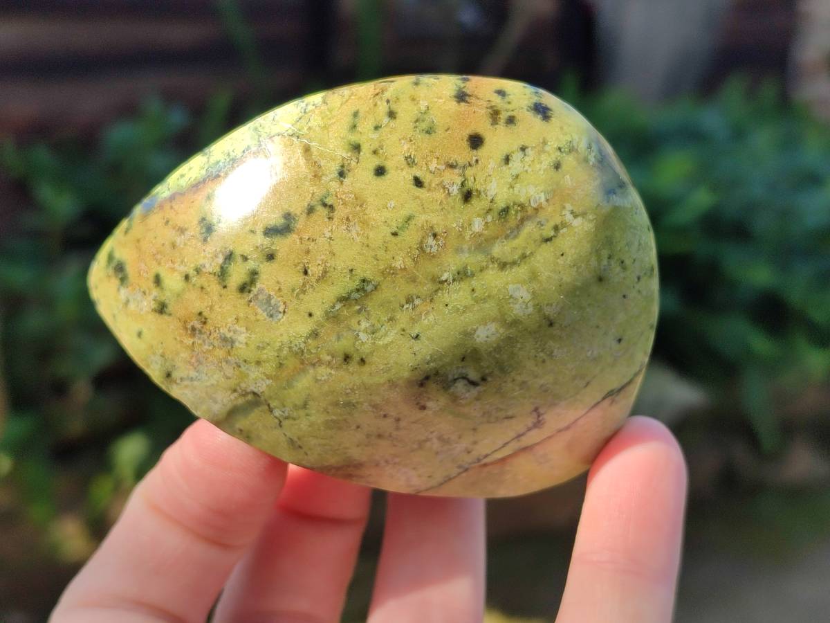 Polished Leopard Stone Free Forms x 5 From Nyanga, Zimbabwe - Toprock Gemstones and Minerals 