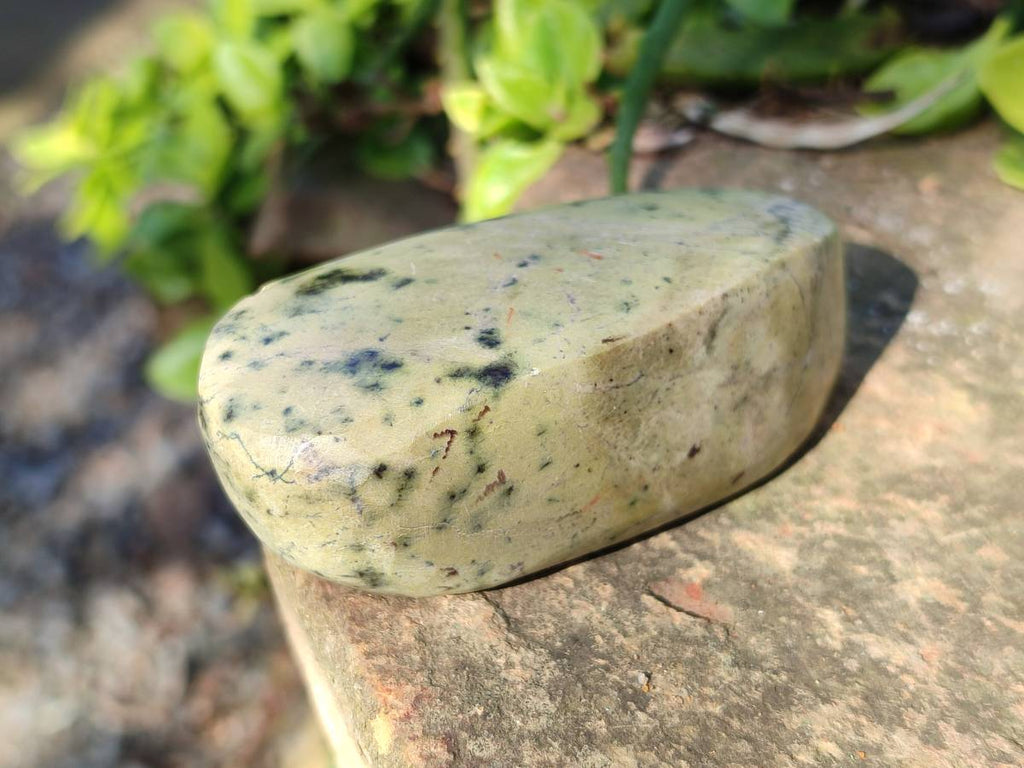 Polished Leopard Stone Free Forms x 5 From Nyanga, Zimbabwe - Toprock Gemstones and Minerals 