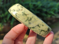 Polished Leopard Stone Free Forms x 5 From Nyanga, Zimbabwe - Toprock Gemstones and Minerals 
