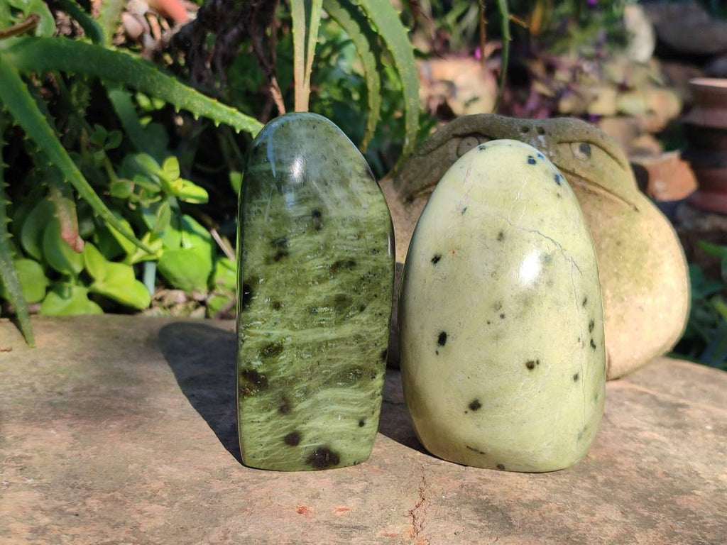 Polished Leopard Stone Free Forms x 5 From Nyanga, Zimbabwe - Toprock Gemstones and Minerals 