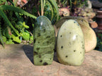 Polished Leopard Stone Free Forms x 5 From Nyanga, Zimbabwe - Toprock Gemstones and Minerals 