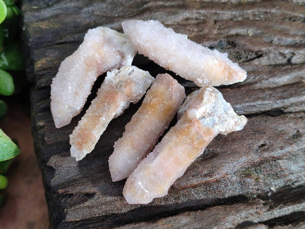 Natural Spirit Quartz Clusters x 39 From Boekenhouthoek, South Africa - Toprock Gemstones and Minerals 
