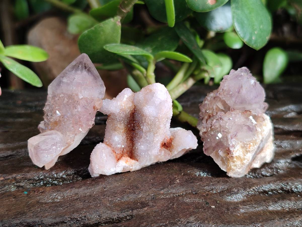 Natural Spirit Quartz Clusters x 39 From Boekenhouthoek, South Africa - Toprock Gemstones and Minerals 