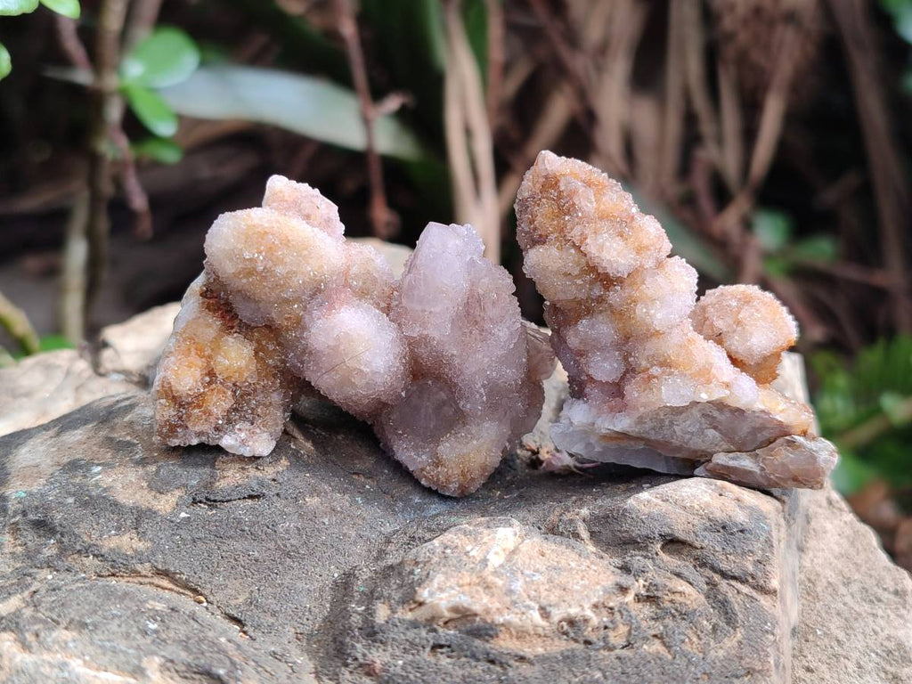 Natural Spirit Quartz Clusters x 39 From Boekenhouthoek, South Africa - Toprock Gemstones and Minerals 