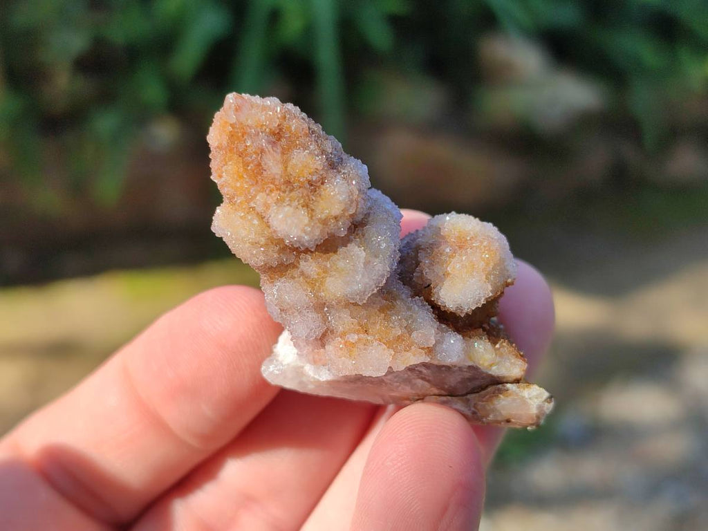 Natural Spirit Quartz Clusters x 39 From Boekenhouthoek, South Africa - Toprock Gemstones and Minerals 