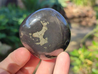 Polished Rare Pharaoh Stone Pyrite in Basalt Free Forms x 12 Iron Duke Mine, Zimbabwe - Toprock Gemstones and Minerals 