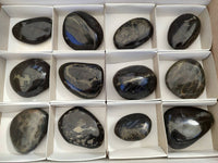 Polished Rare Pharaoh Stone Pyrite in Basalt Free Forms x 12 Iron Duke Mine, Zimbabwe - Toprock Gemstones and Minerals 