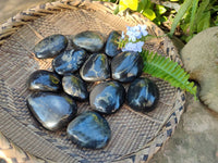 Polished Rare Pharaoh Stone Pyrite in Basalt Free Forms x 12 Iron Duke Mine, Zimbabwe - Toprock Gemstones and Minerals 