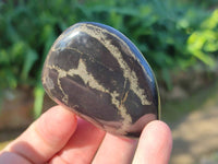 Polished Rare Pharaoh Stone Pyrite in Basalt Free Forms x 12 Iron Duke Mine, Zimbabwe - Toprock Gemstones and Minerals 