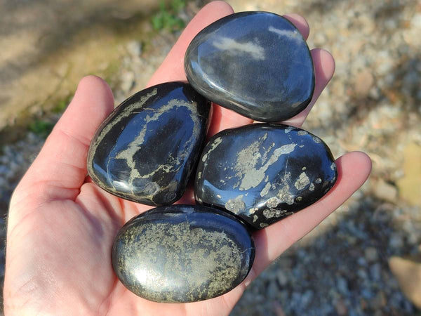 Polished Rare Pharaoh Stone Pyrite in Basalt Free Forms x 12 Iron Duke Mine, Zimbabwe - Toprock Gemstones and Minerals 