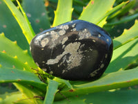 Polished Rare Pharaoh Stone Pyrite in Basalt Free Forms x 12 Iron Duke Mine, Zimbabwe - Toprock Gemstones and Minerals 