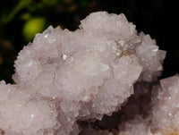 Natural Amethyst Spirit Quartz Cluster x 1 From South Africa - Toprock Gemstones and Minerals 