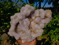 Natural Amethyst Spirit Quartz Cluster x 1 From South Africa - Toprock Gemstones and Minerals 