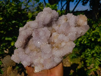 Natural Amethyst Spirit Quartz Cluster x 1 From South Africa - Toprock Gemstones and Minerals 